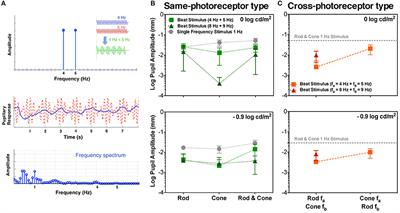 Non-linearities in the Rod and Cone Photoreceptor Inputs to the Afferent Pupil Light Response